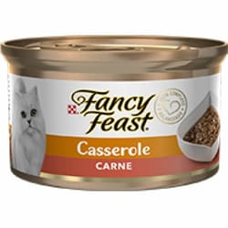 Fancy Casserole Carne