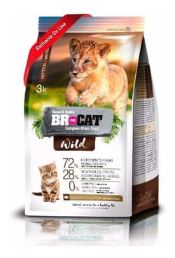 Br For Cat - Wild Kitten