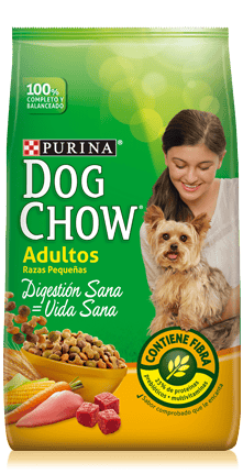 Dog Chow - Salud Visible Adultos Minis Y Pequeños