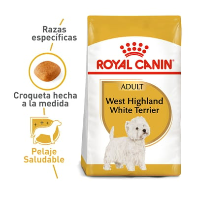 royal-canin-west-highland-white-terrier