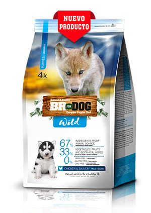 br-for-dog-wild-puppies
