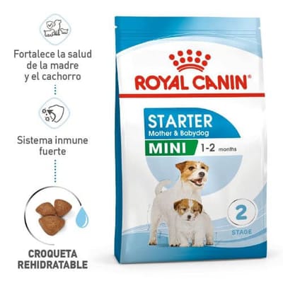 royal-canin-mini-starter-mb-dog