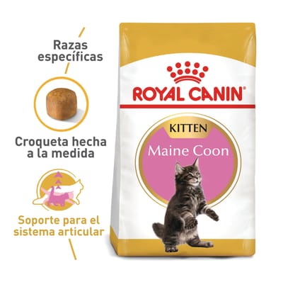 royal-canin-maine-coon-kitten