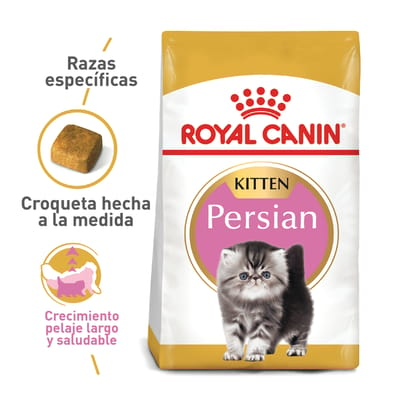royal-canin-fbn-persian-kitten