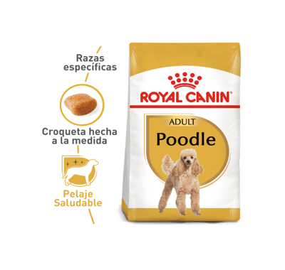 royal-canin-poodle-adulto