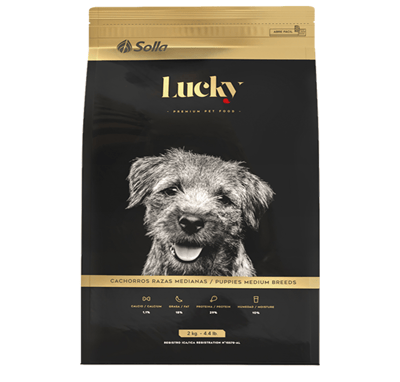 lucky-cachorros-razas-medianas