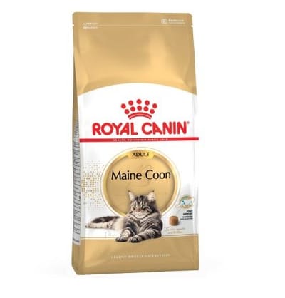 royal-canin-fbn-maine-coon-adult