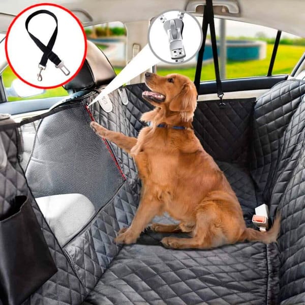 Los mejores protectores de asiento para perros: ¡cuida tu coche!