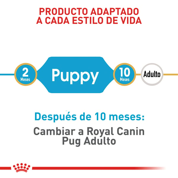 royal-canin-pug-puppy
