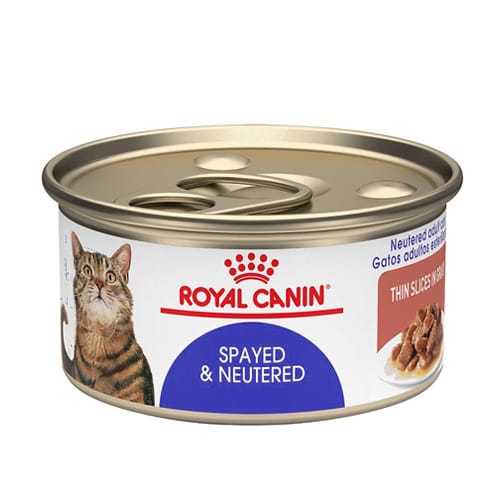 Royal Canin - Alimento Húmedo Spayed Neutered