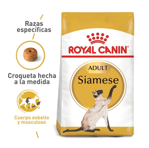 Royal Canin - Fbn Siames Adult