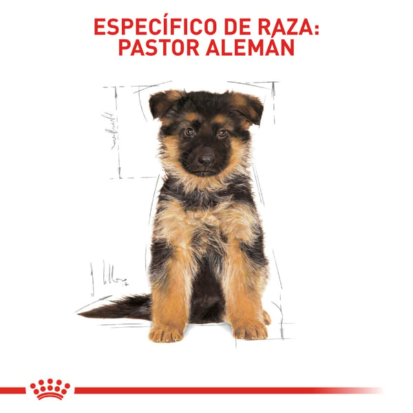 royal-canin-german-shepherd-puppy