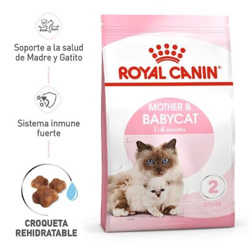 royal-canine-primera-edad-mother-and-baby-cat