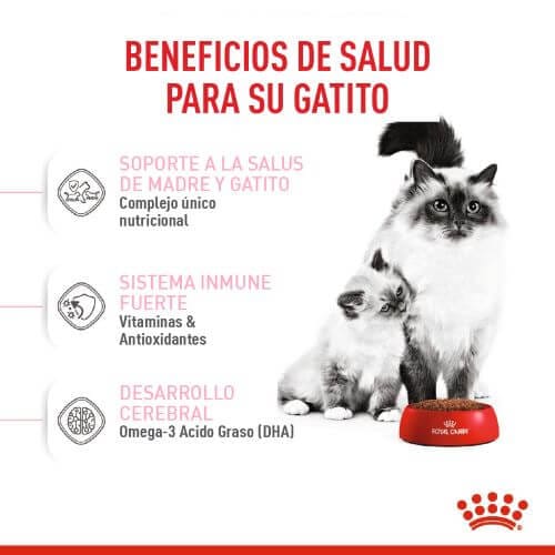 royal-canine-primera-edad-mother-and-baby-cat